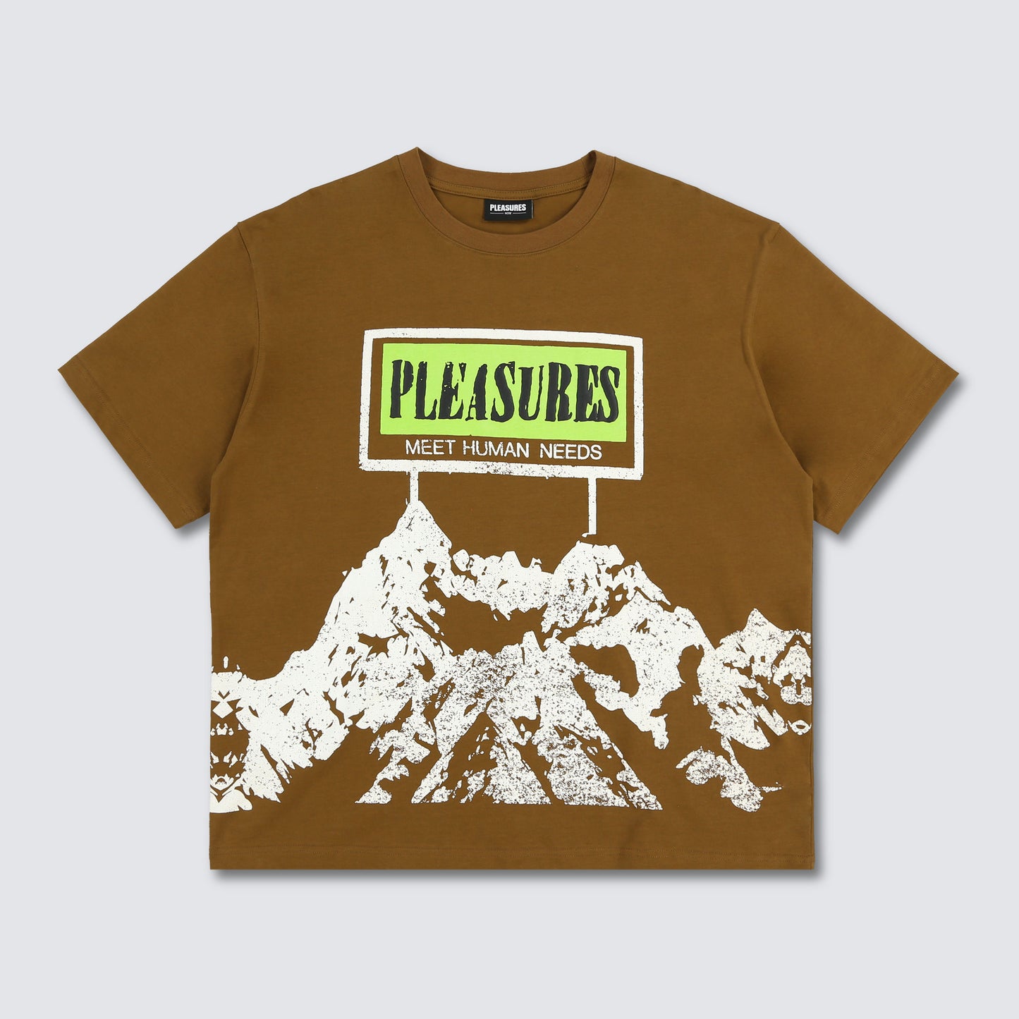 HUMAN NEEDS HEAVYWEIGHT SHIRT