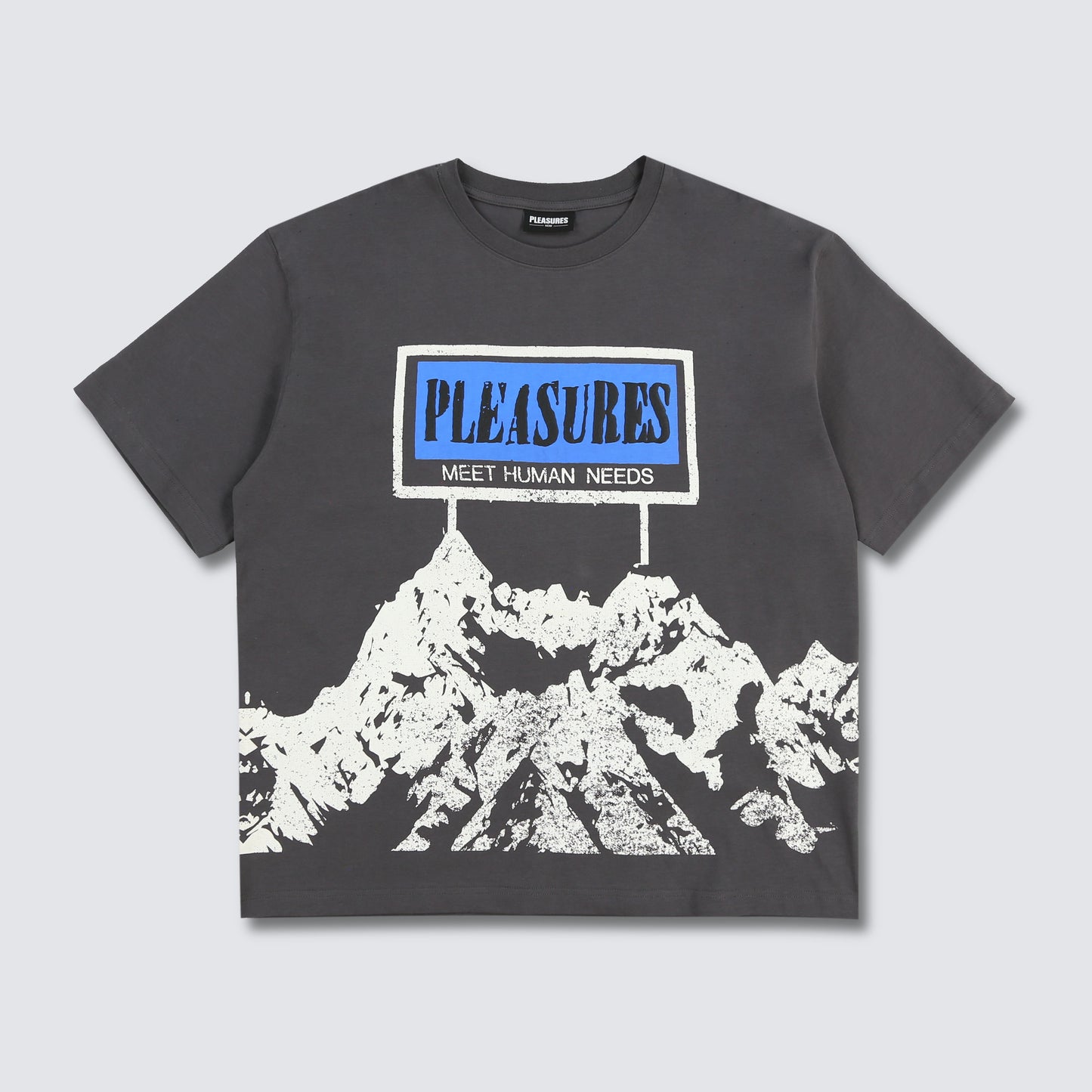 HUMAN NEEDS HEAVYWEIGHT SHIRT