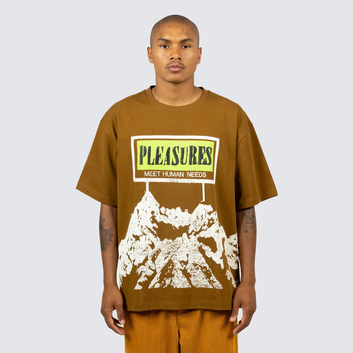 HUMAN NEEDS HEAVYWEIGHT SHIRT