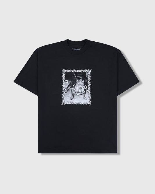 BULLY T-SHIRT