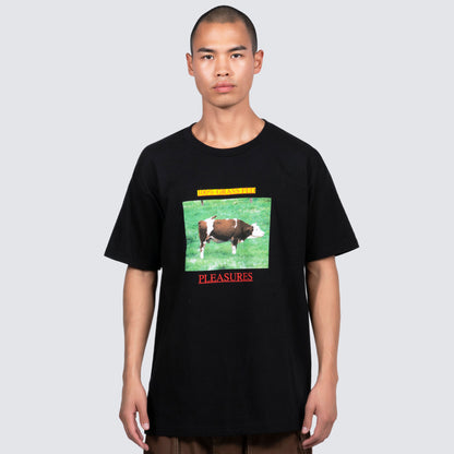 GRASS FED T-SHIRT