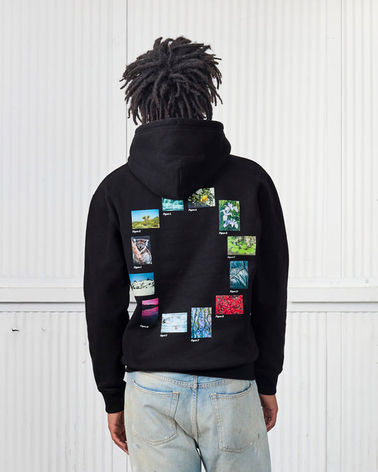 OPTIMISM HOODIE