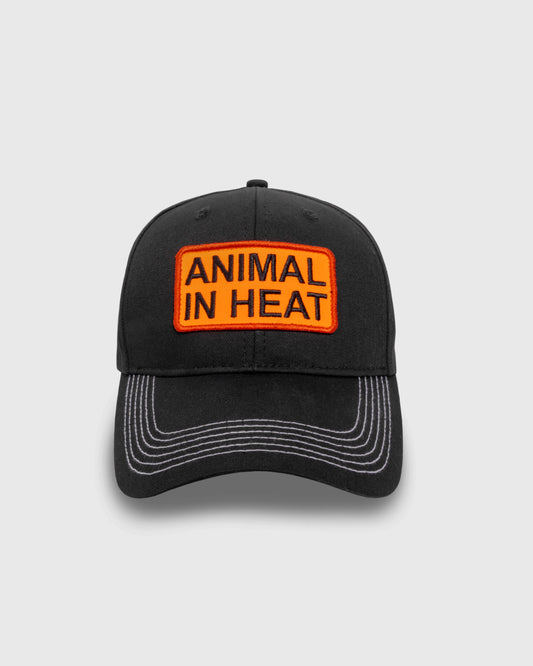 HEAT SNAPBACK