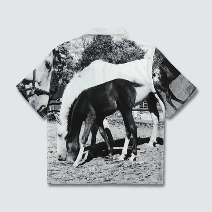 HORSES BUTTON DOWN