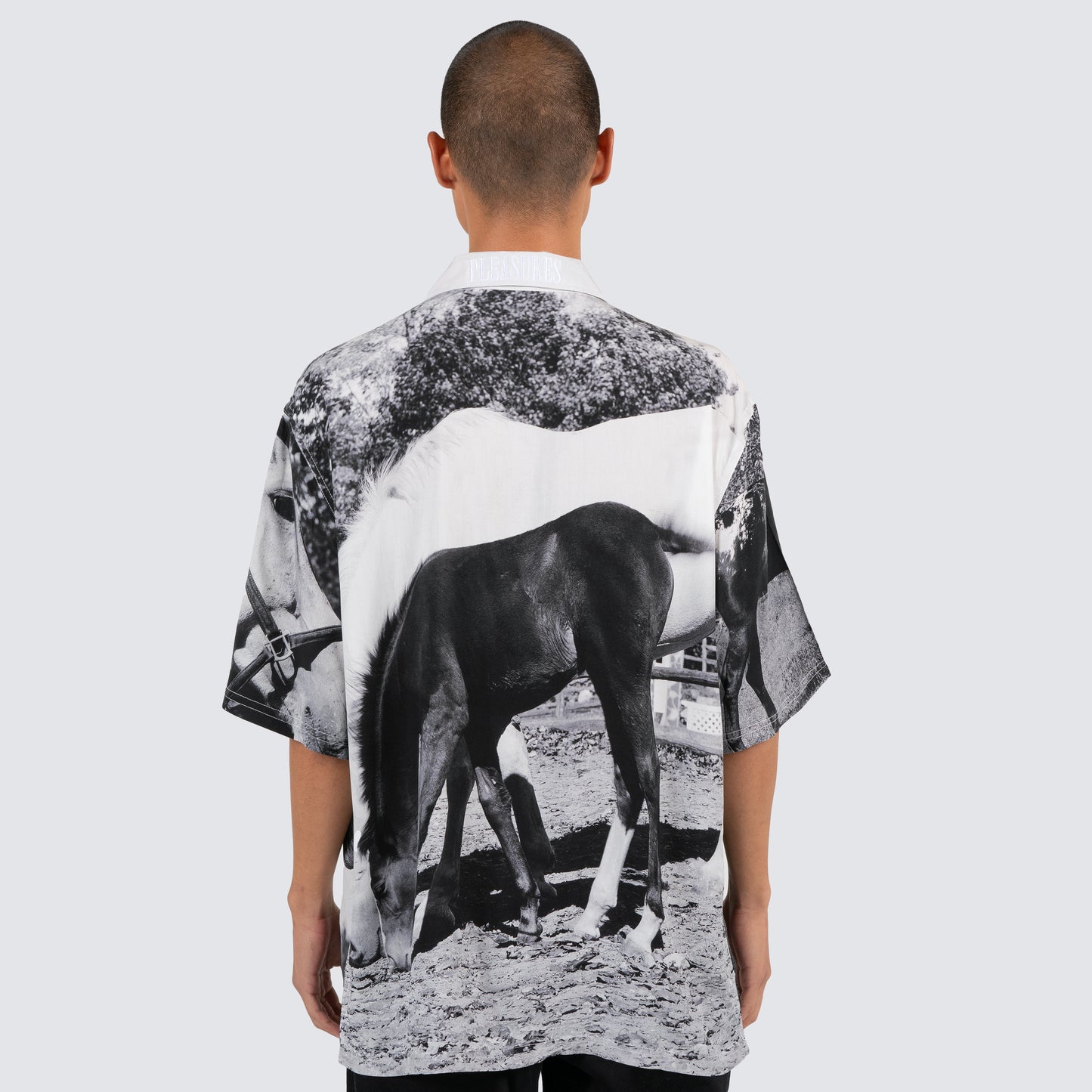 HORSES BUTTON DOWN