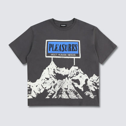 HUMAN NEEDS HEAVYWEIGHT SHIRT