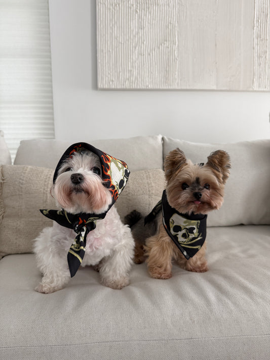 SKULL BANDANA